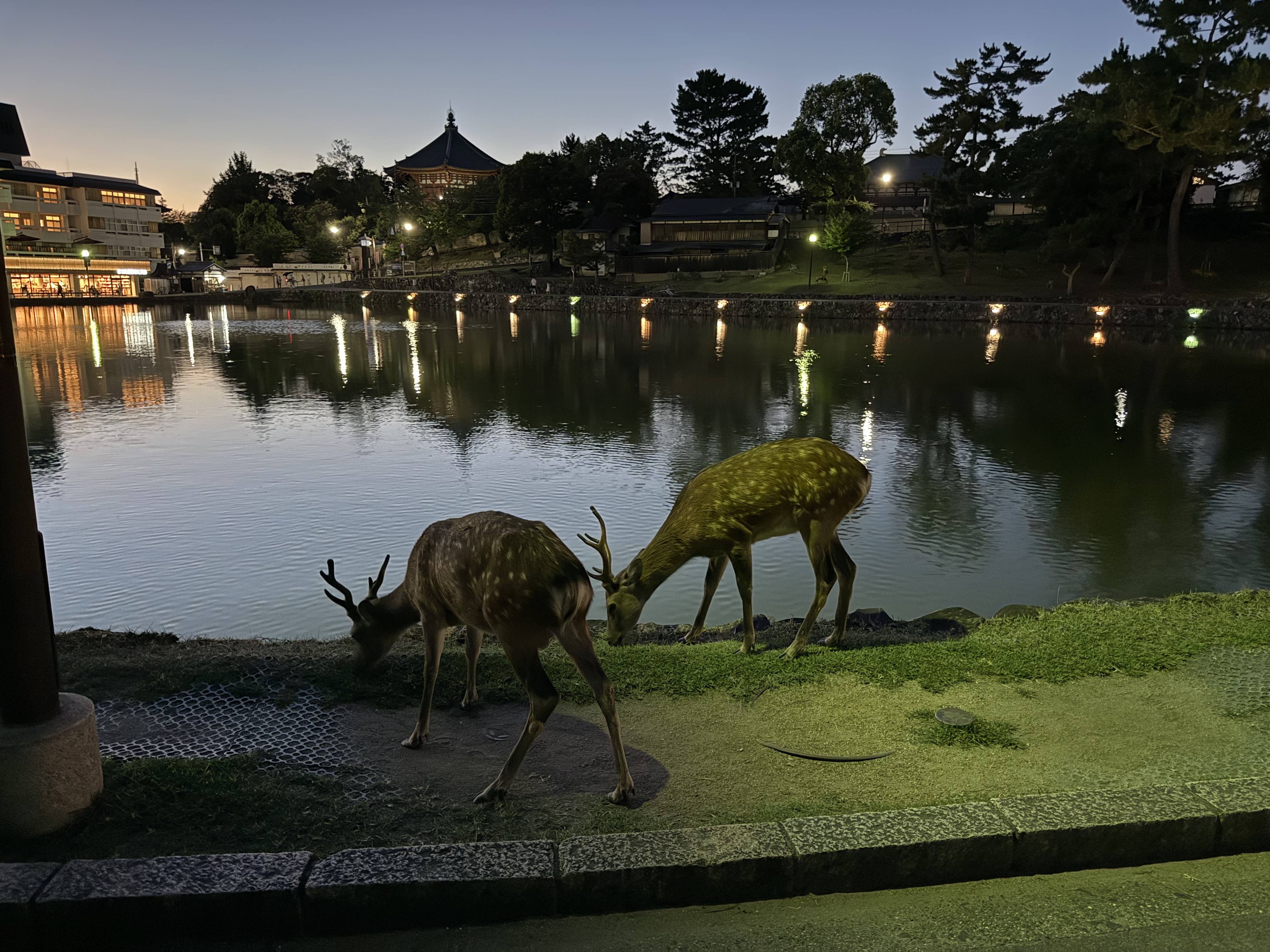 Japan2025-149