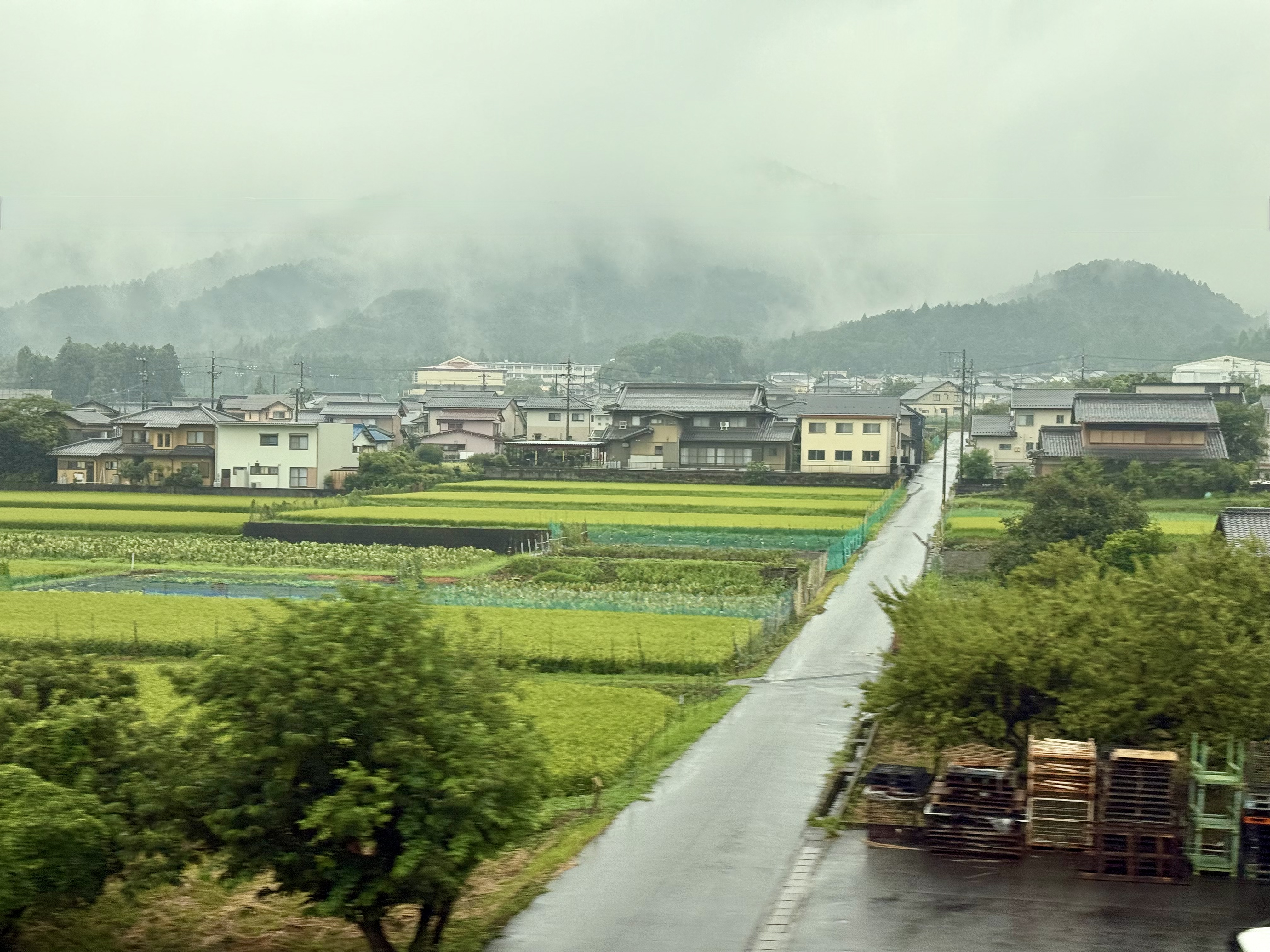 Japan2025-249