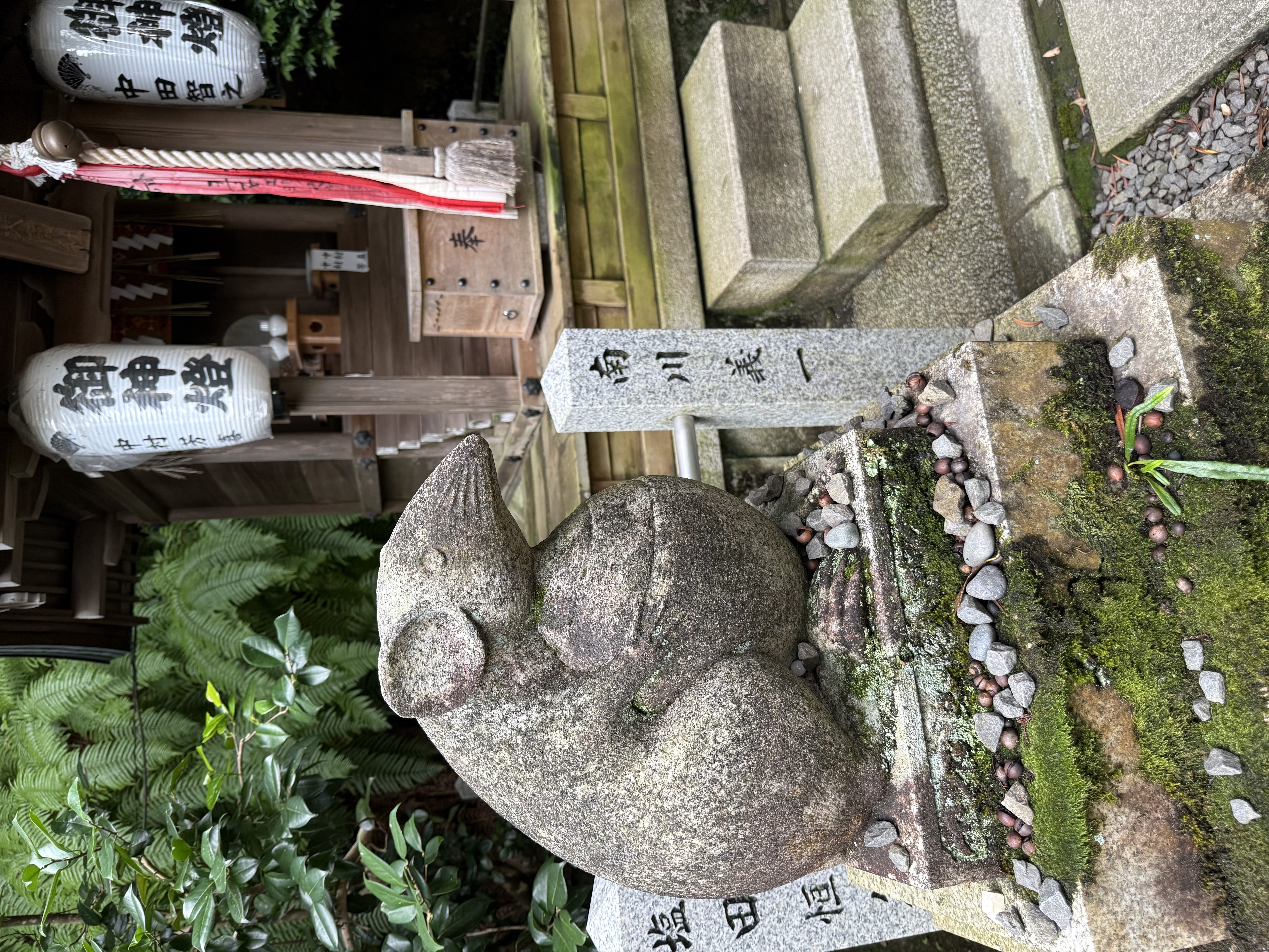 Japan2025-347