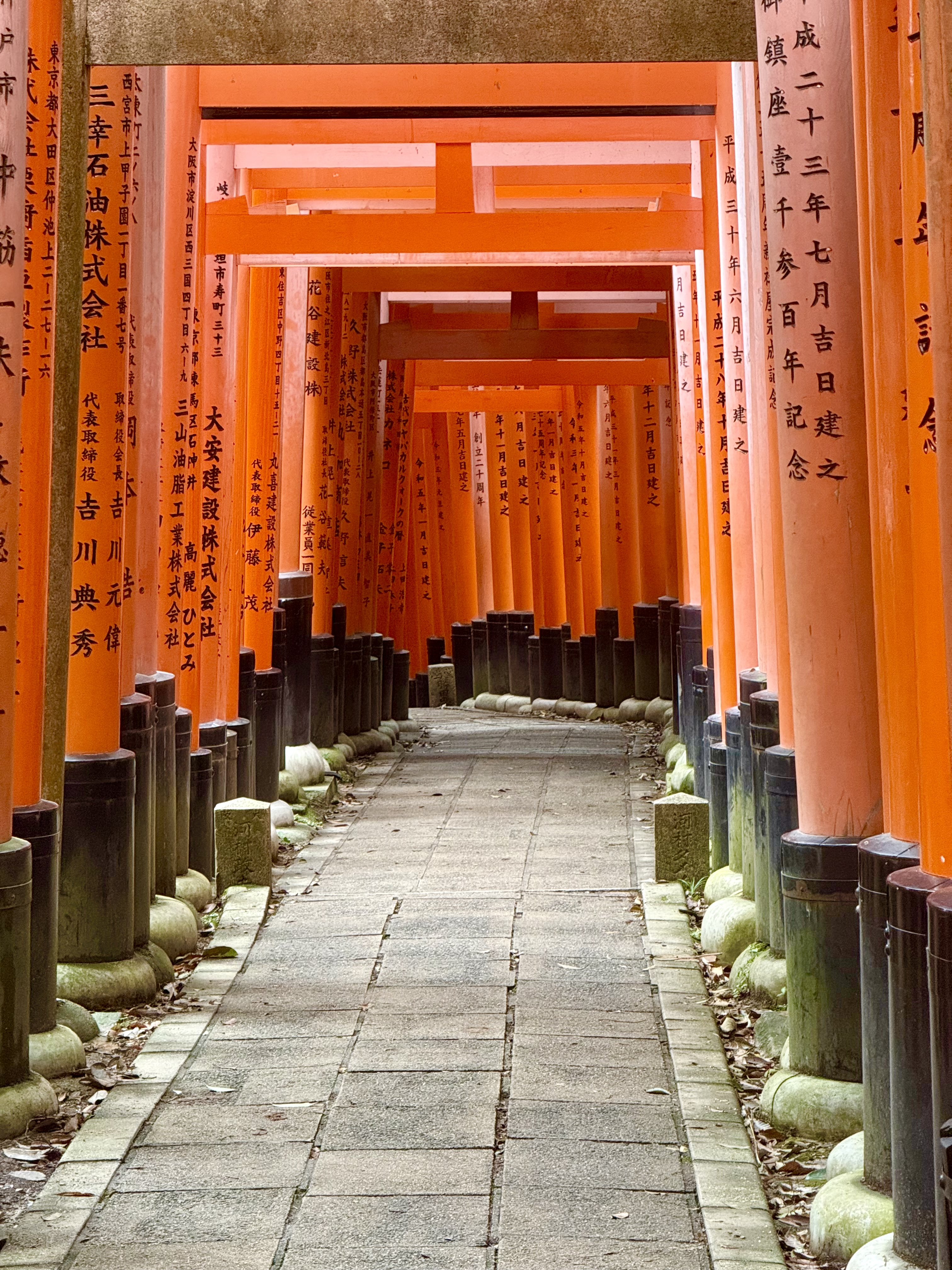 Japan2025-w3